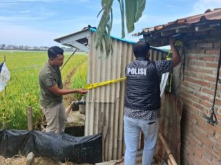 Polres Kudus Lakukan Penyidikan Terhadap Kasus Tewasnya Seorang Warga Desa Gamong Tersengat Listrik Di Daerah Persawahan