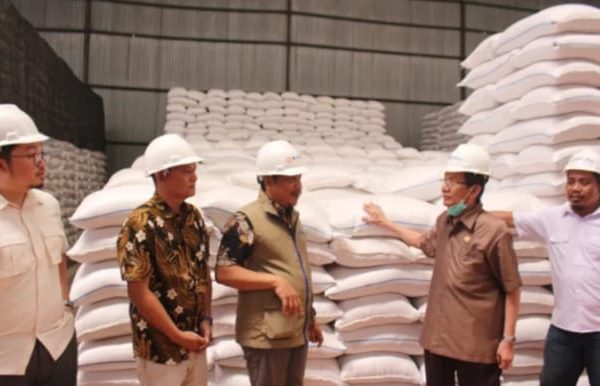 Longki Menyoroti Pentingnya Penyerapan Gaba Beras Dan Hasil Panel Petani Lokal