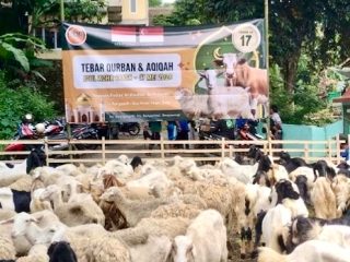Pesantren Aliyah Wali Mutamakkin Banyuwangi Sembelih Ratusan Hewan Qurban dari Donatur Singapura