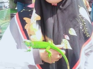 Kisah Inspiratif Noer Ainun: Putri Wani yang Membawa Dedikasi dan Nilai Religi ke Balai Karantina Sulawesi Tengah