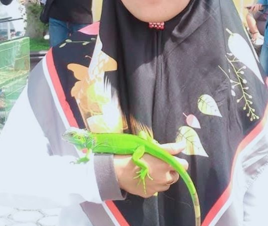 Kisah Inspiratif Noer Ainun: Putri Wani yang Membawa Dedikasi dan Nilai Religi ke Balai Karantina Sulawesi Tengah