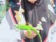 Kisah Inspiratif Noer Ainun: Putri Wani yang Membawa Dedikasi dan Nilai Religi ke Balai Karantina Sulawesi Tengah