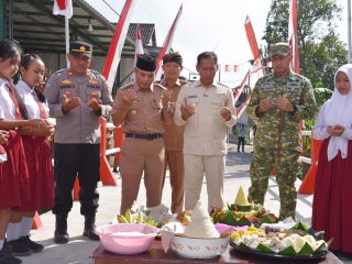 Jembatan Garuda Kini Berdiri Kokoh, Plt Bupati Ahmad Baharudin Apresiasi Sinergi TNI dan Warga Kates
