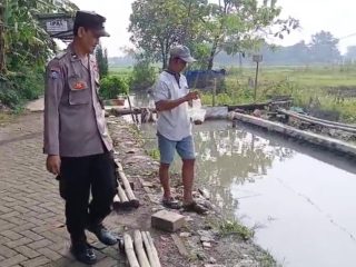 Dukung Ketahanan Pangan, Bhabinkamtibmas Kauman Edukasi Warga Budidaya Mujair dan Lele