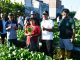 Dari Kebun Warga Untuk Tulungagung: Plt Bupati Ahmad Baharudin Puji Wisata Petik Sayur Organik Kepatihan