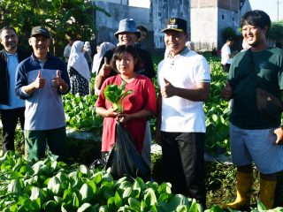 Dari Kebun Warga Untuk Tulungagung: Plt Bupati Ahmad Baharudin Puji Wisata Petik Sayur Organik Kepatihan