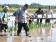 Gerakan Tanam Serentak Perkuat Cetak Sawah Rakyat di Pulang Pisau