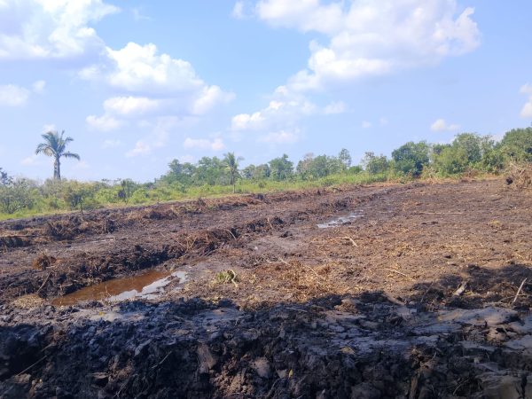 Warga Tarantang Sambut Rehabilitasi  Percetakan Sawah