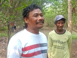 Kelompok Tani Bangun Jaya Mojokerto Sulap Bantaran Sungai Jadikan Lahan Kebun Jeruk Produktif