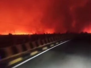 Tumbang Nusa Kembali Diselimuti Api, Kobaran Karhutla Terlihat dari Atas Jembatan