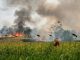 Api Karhutla Menjalar ke Rei 2, Tanaman Padi Warga Pulang Pisau Ikut Terbakar
