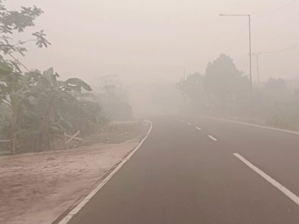 Dana Penanganan Karhutla Rp20 Miliar Terealisasi 84 Persen, Asap Masih Menyelimuti Pulang Pisau